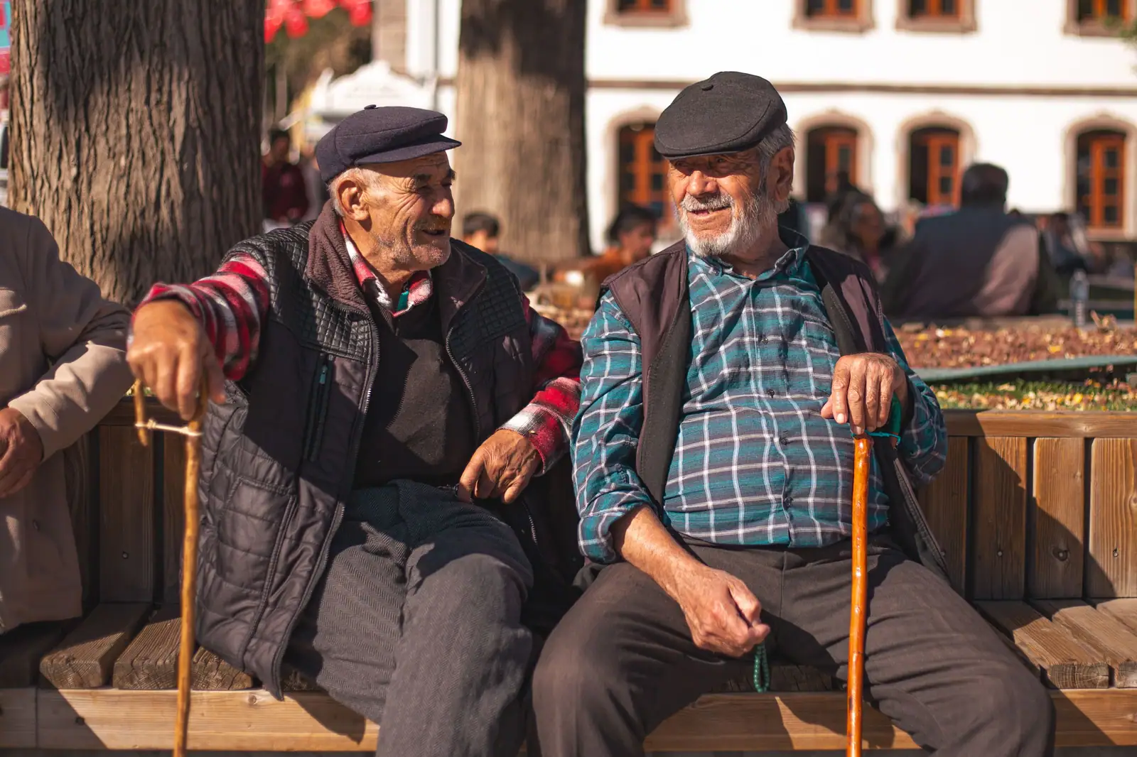 Two friends on the bench out front