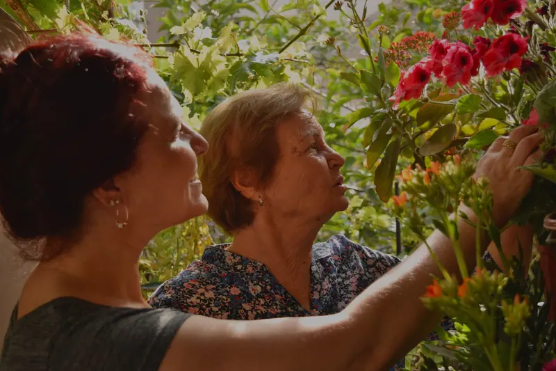 Two members admiring the camellias by the porch