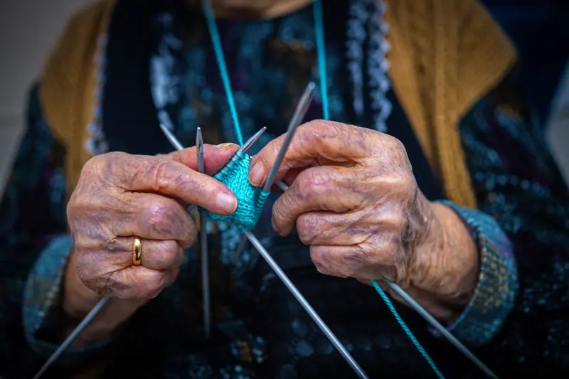 Knitting by the window