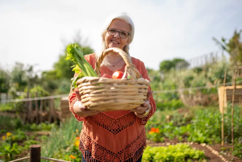 A member holding a basket of vegetables from the garden beds
