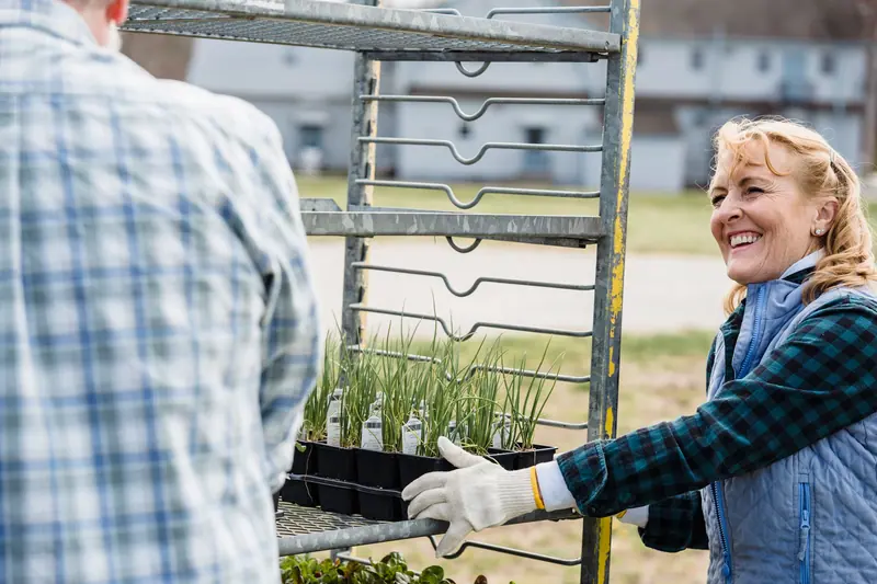 Handing out tomato starts