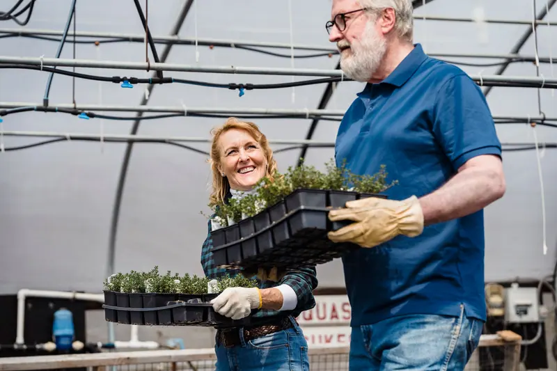 Carrying flats through the greenhouse