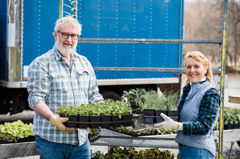 Carrying herbs to the patio beds