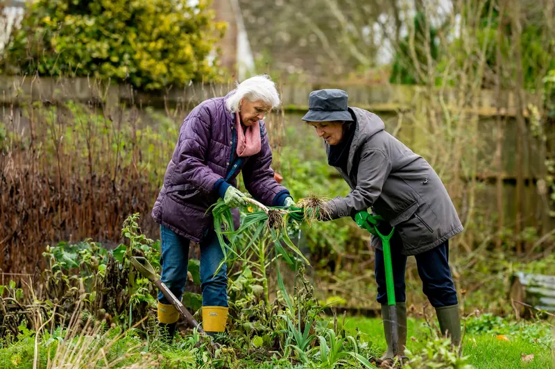 Turning the garden beds