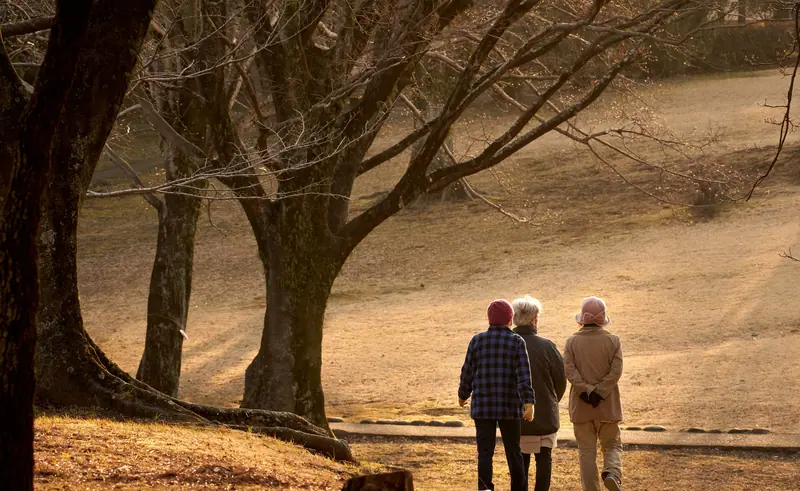 A couple walking arm in arm at sunset in the park