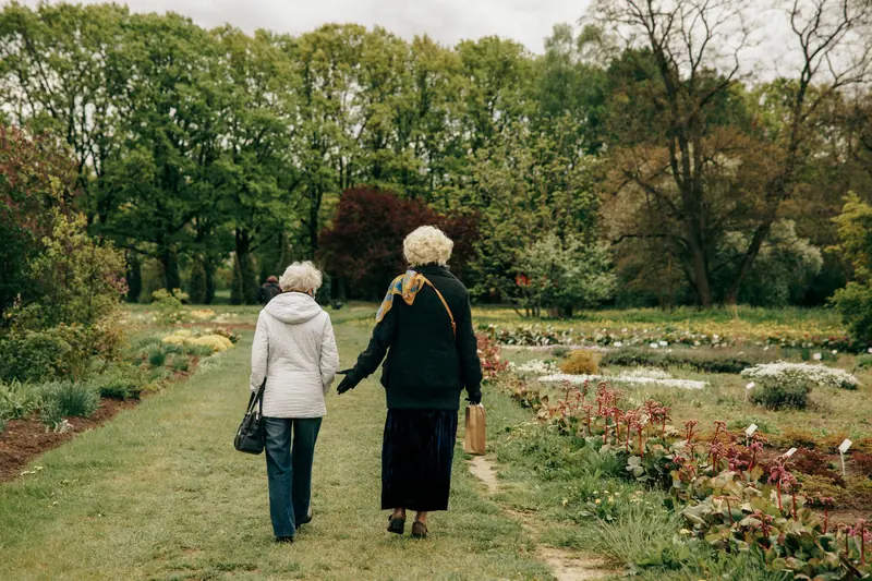 Two friends walking through the wildflower meadow