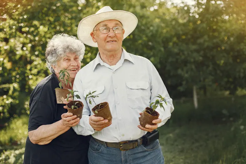 A couple holding seedlings ready for the raised beds