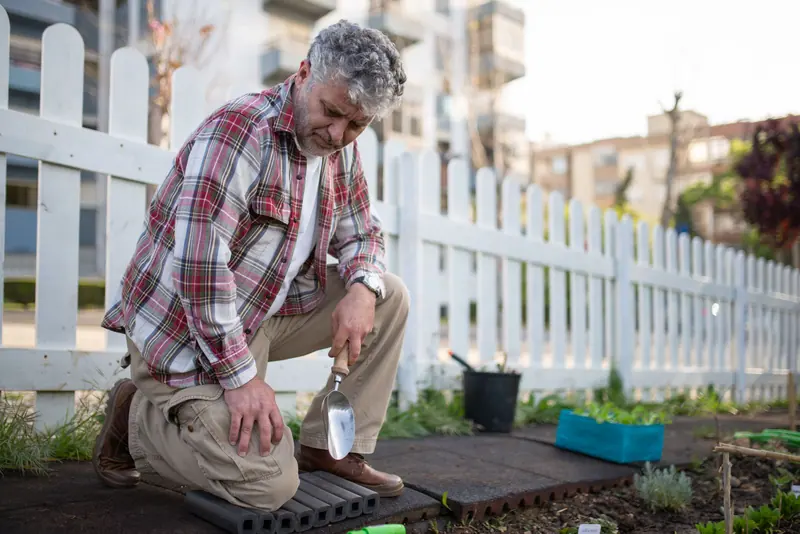 A resident tending his raised garden bed beside a white picket fence