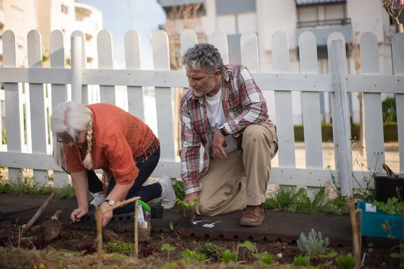Two residents planting the raised beds along the back fence