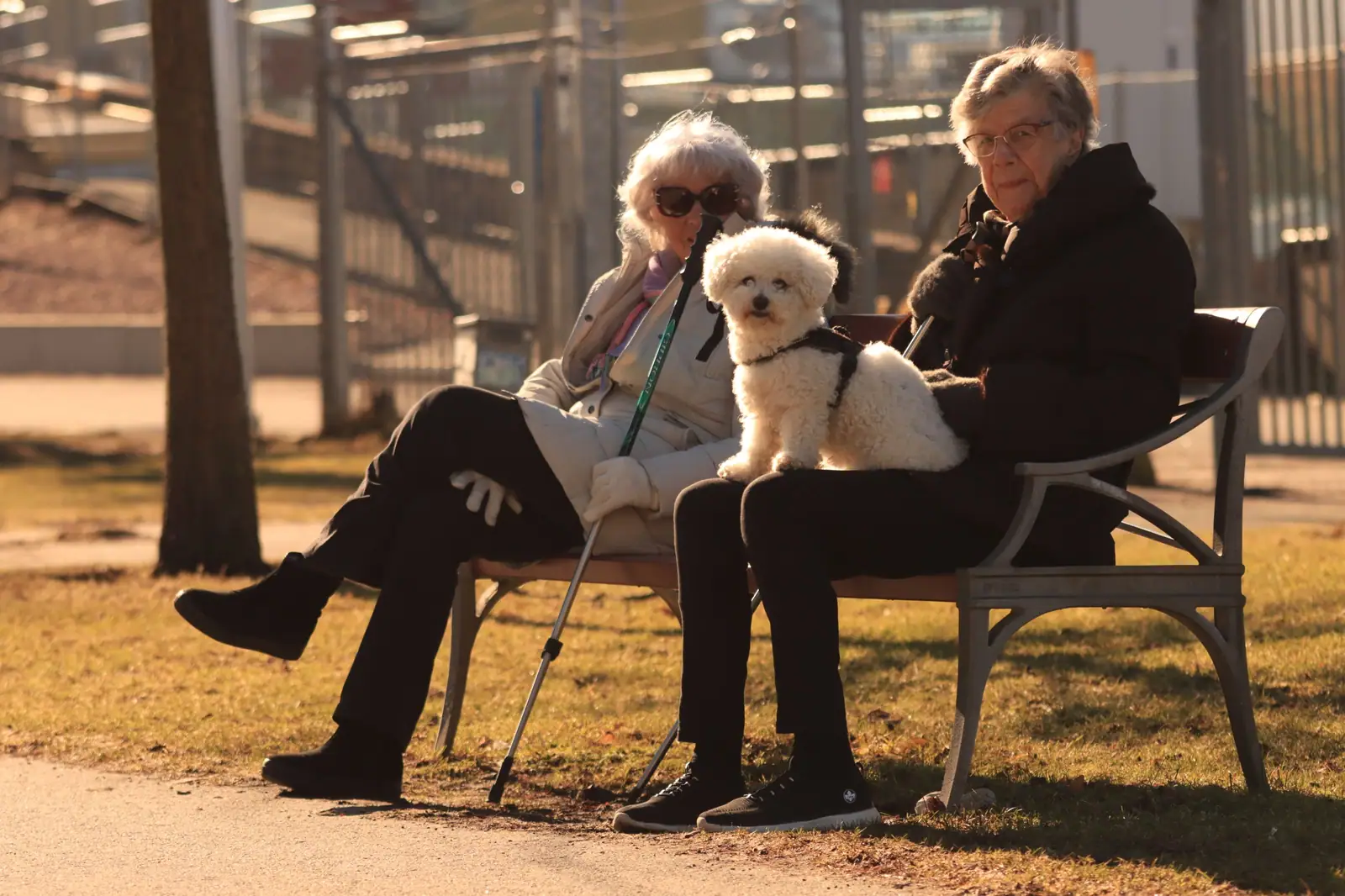 Two friends on a bench with their little dog