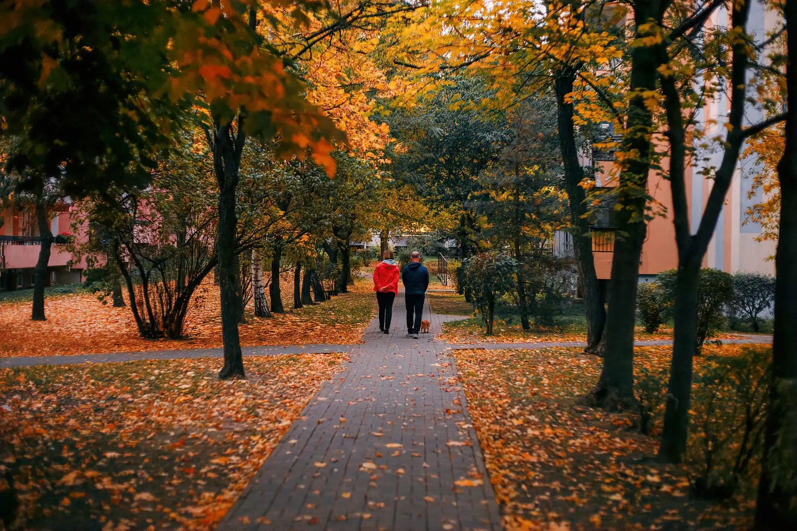 Autumn on the bluff