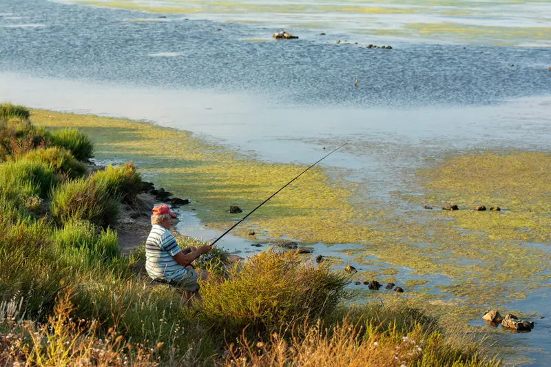 A resident fishing from the grassy bank of the river