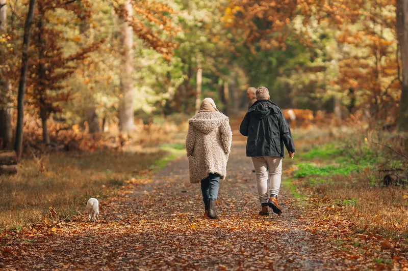 A couple walking their dog in the autumn woods