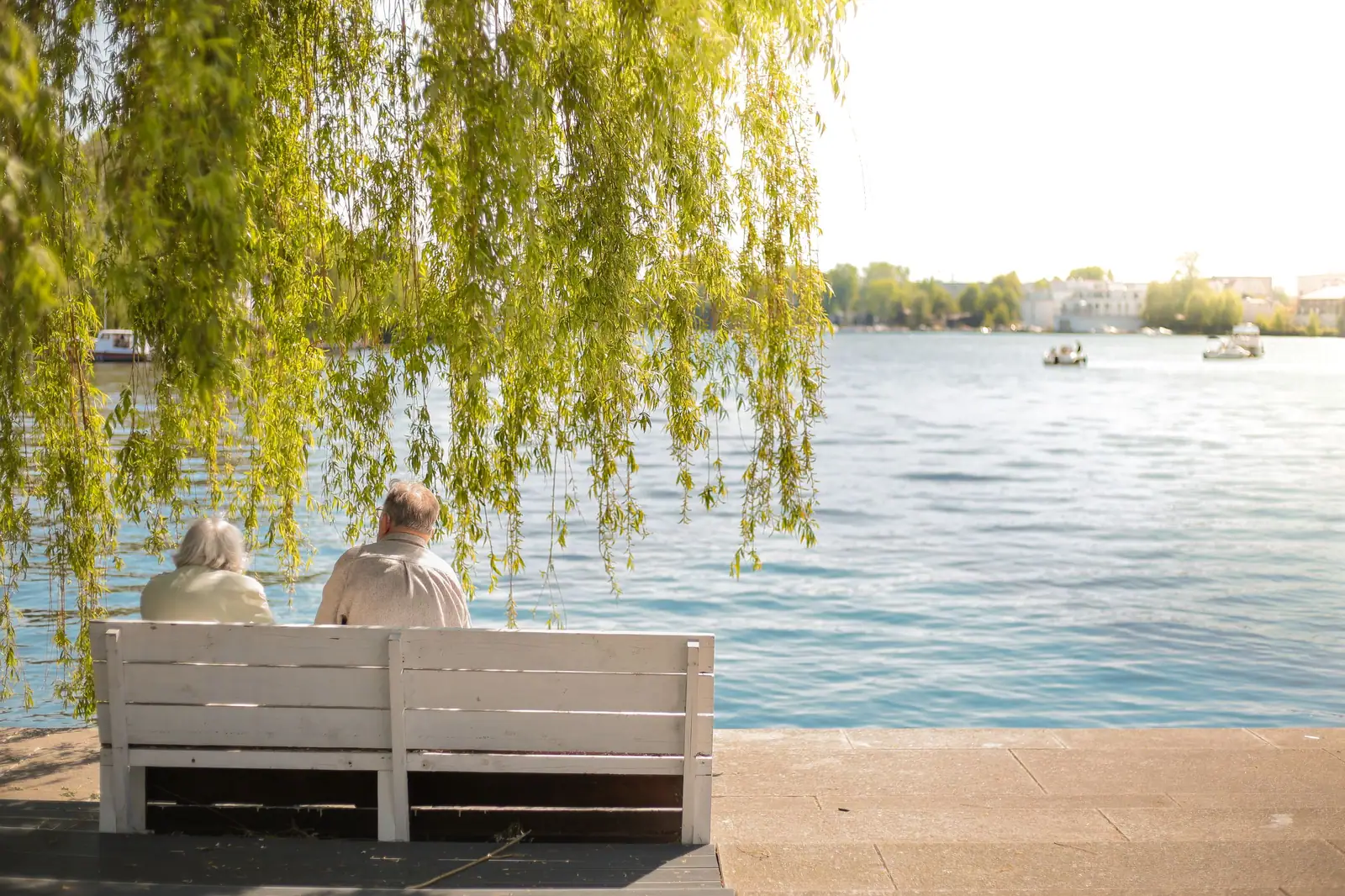 A couple on a bench under the willow at the edge of Greers Ferry Lake