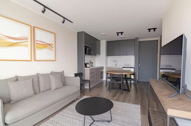 Elegant modern living space with grey couch, minimalist decor, and open kitchenette.