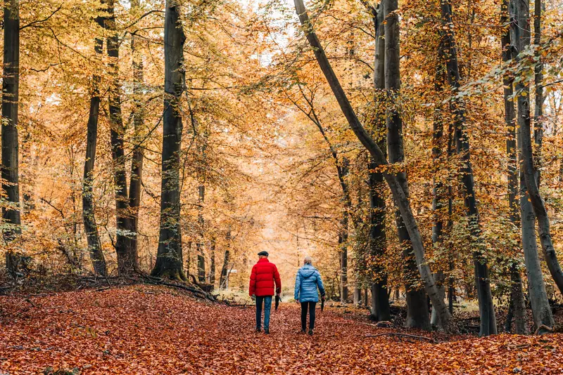 A couple on an autumn walk