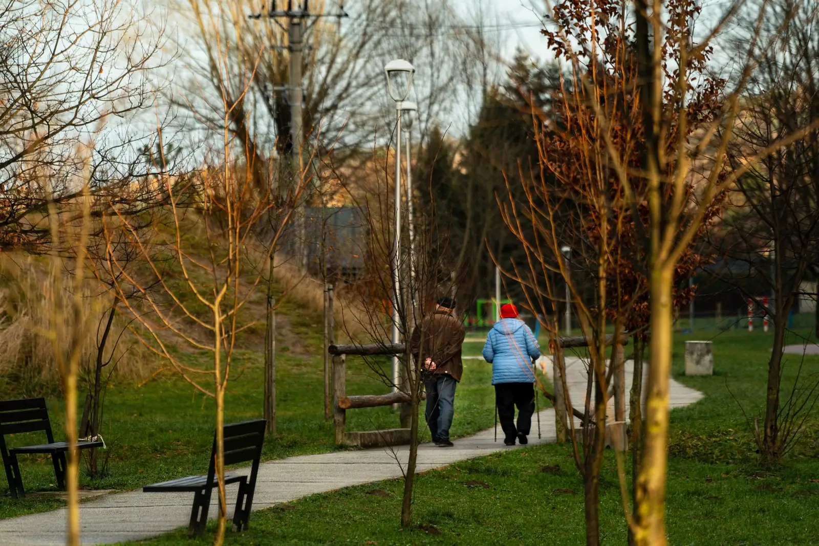 A couple walking under autumn trees
