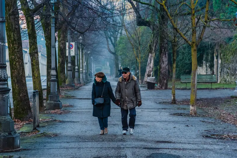 A couple walking hand in hand under the trees