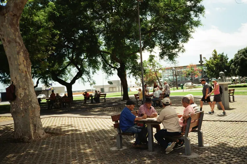 A chess game under the trees