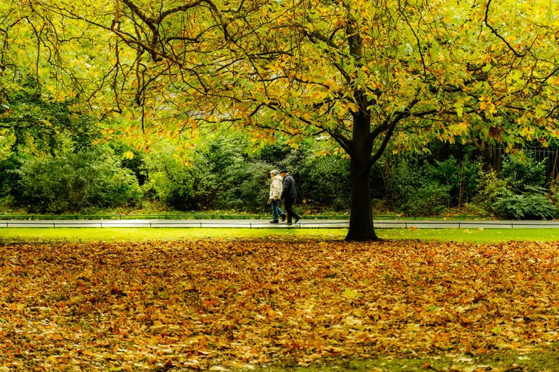 A couple on the wooded trail in autumn