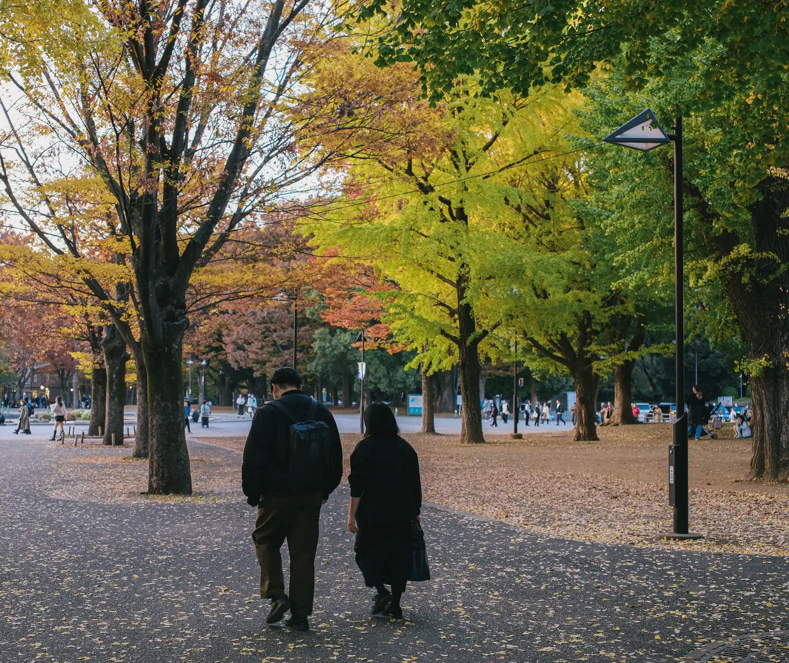 An autumn walk