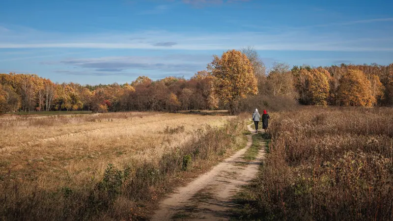 An autumn path