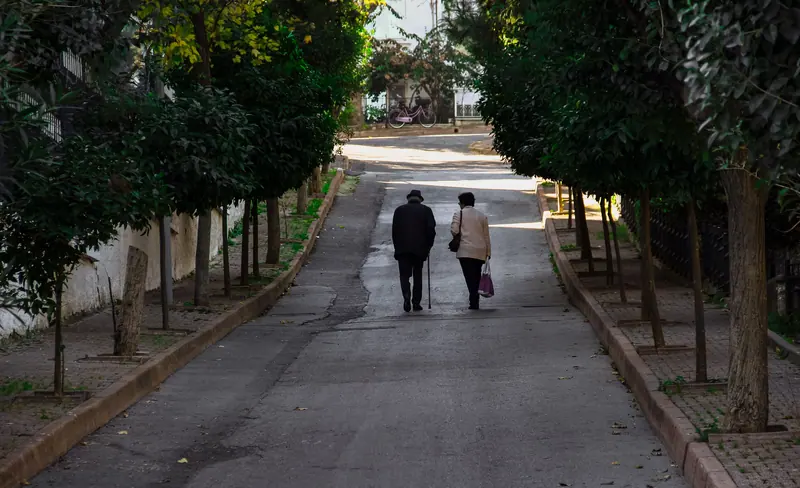 A couple walking a tree-lined lane