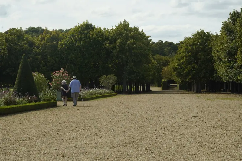 A couple holding hands on the garden path