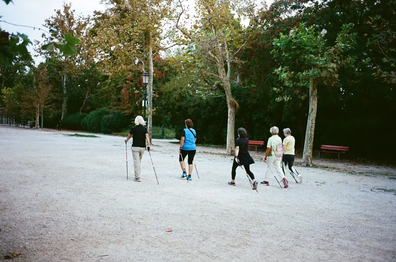 The Nordic walking group on the trail