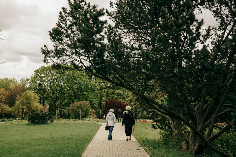 Two friends on a morning walk