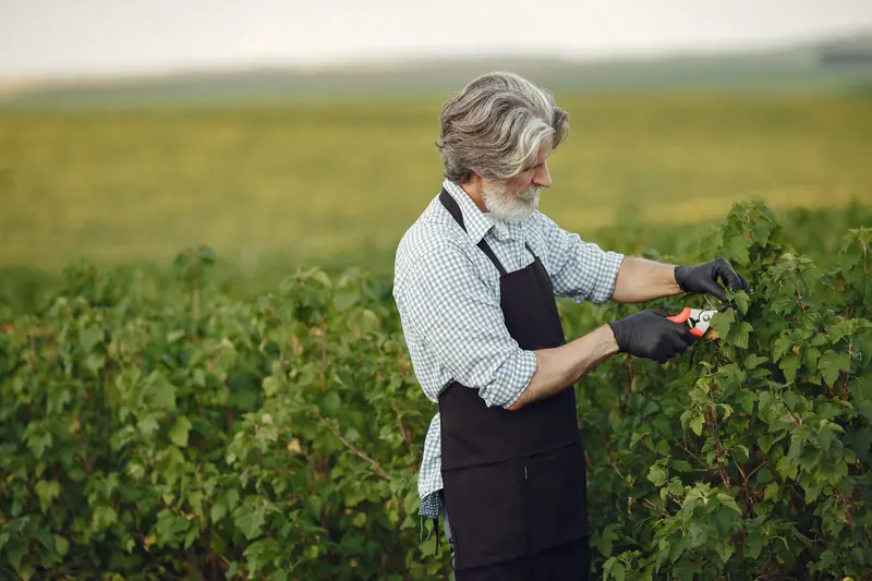 A resident tending his garden plot
