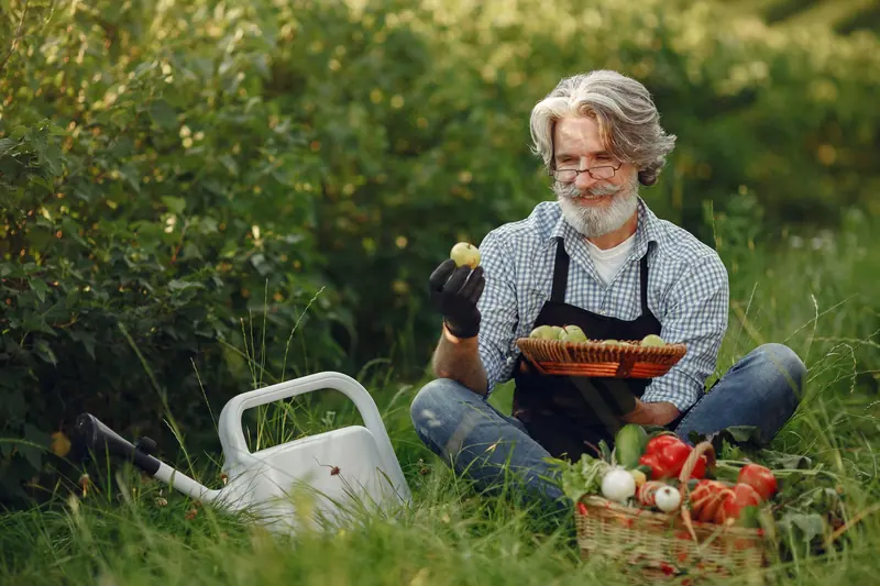 A resident harvesting vegetables