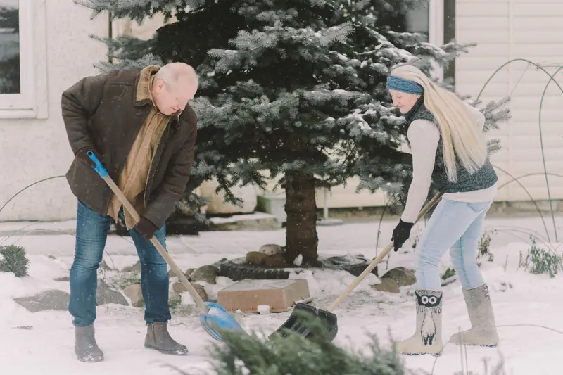 A couple shoveling the walk after a snow
