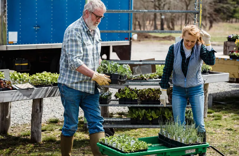 A couple with seedlings for the garden