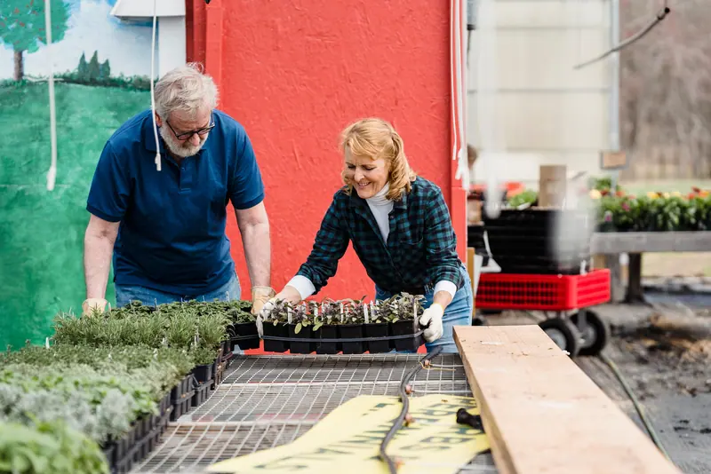 Residents potting plants in the greenhouse