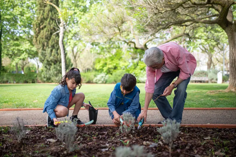 A grandfather gardening with his grandchildren