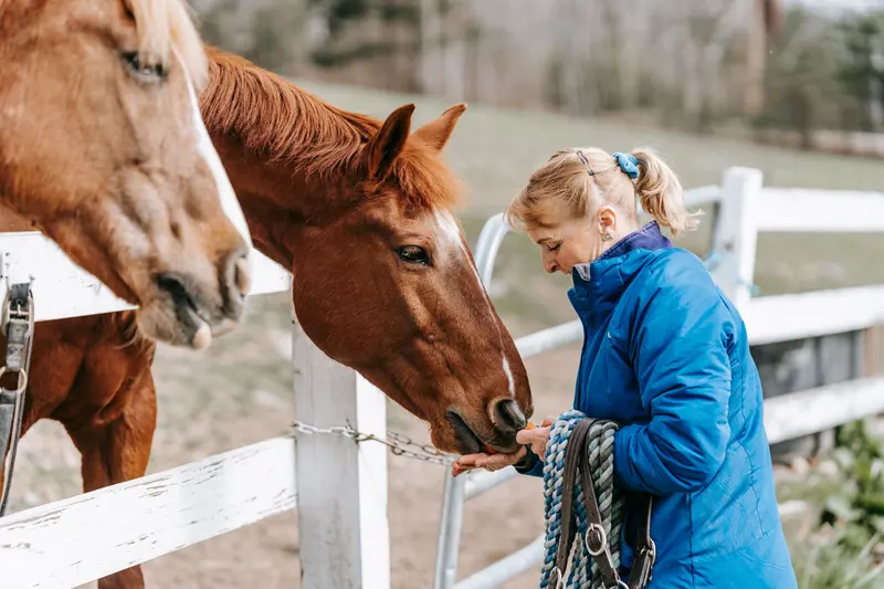 A resident visiting the horses at the fence