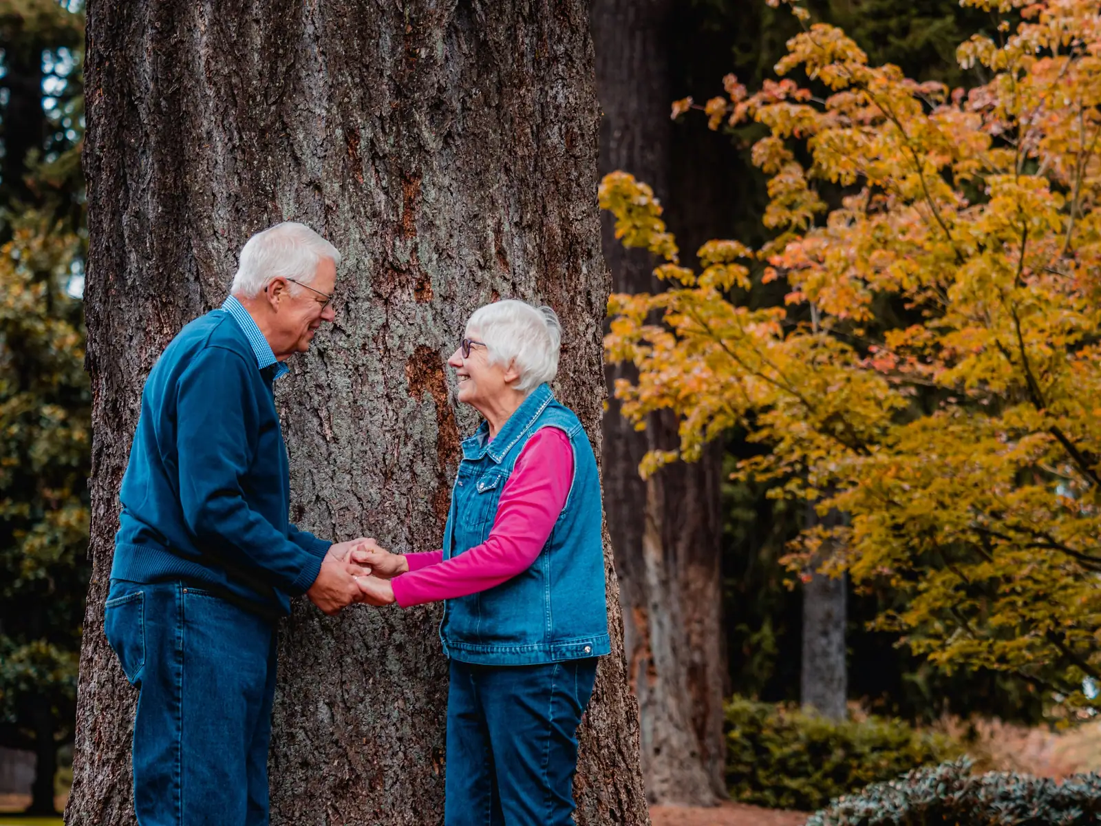 A couple beneath an autumn tree