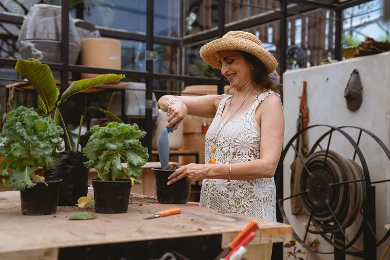A resident potting plants