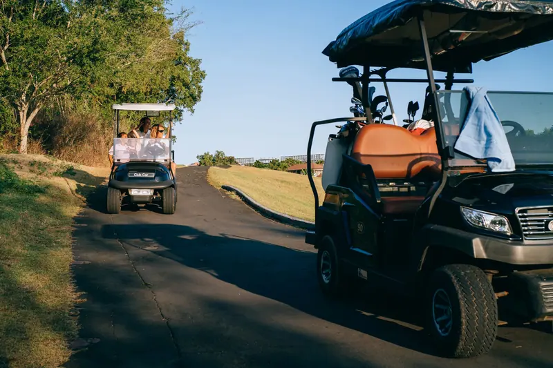Golf carts lined up for a family day