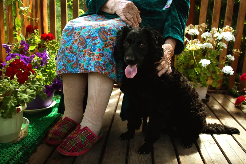 An older woman sitting on her flower-lined porch with her black dog