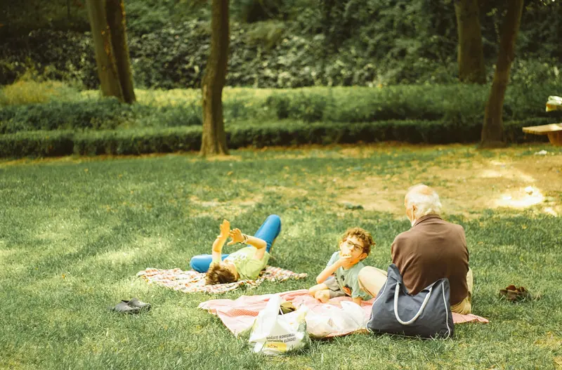 A family picnic on the grass
