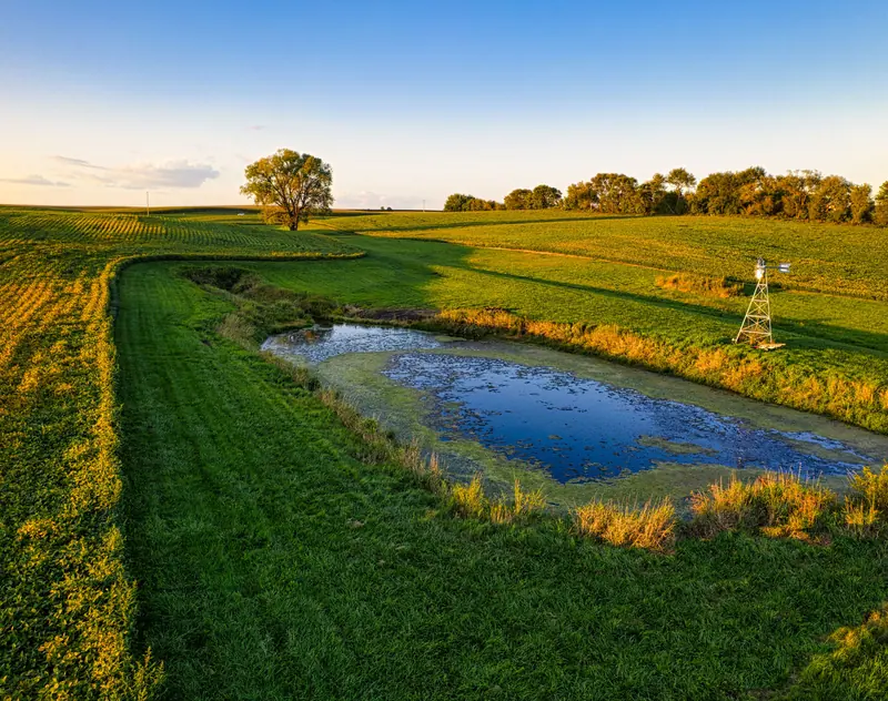 A farm pond at sunset