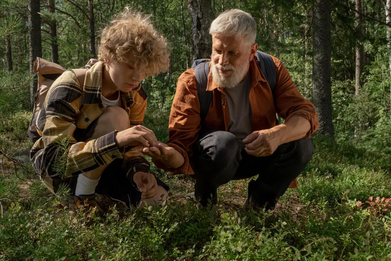 A grandfather showing his grandson wild berries on the forest floor