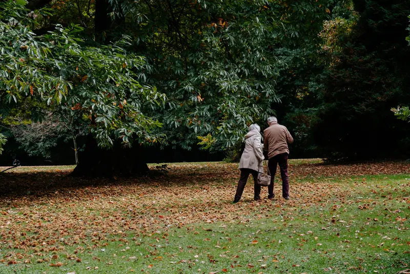 An older couple walking together under big shade trees