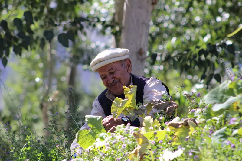 A grandfather in a flat cap smiling among his garden plants