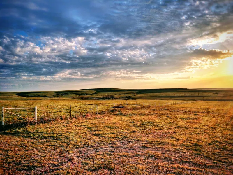 Tallgrass glowing at sunrise