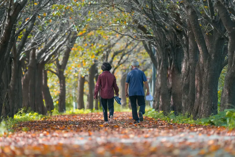 A couple walking down a tree-lined lane covered in leaves