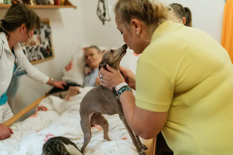 A volunteer bringing her therapy dog to visit a patient in bed