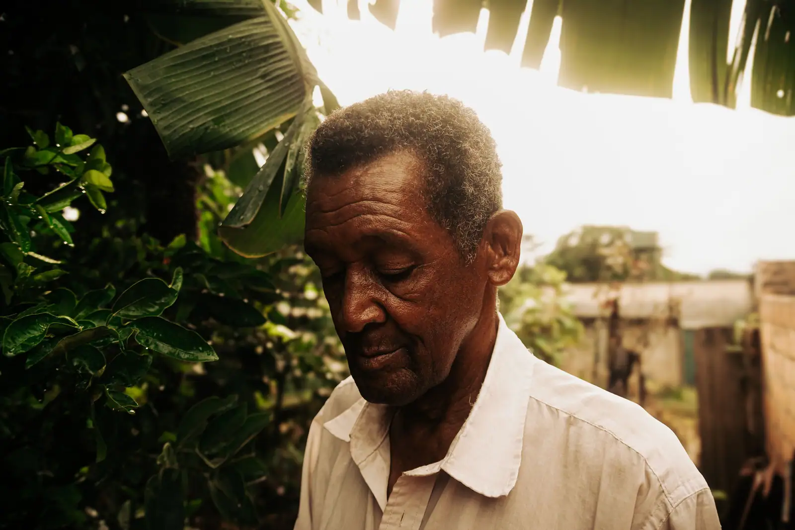 An elderly man standing in the late light of his backyard garden